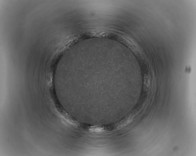 X0000091090602200708131321