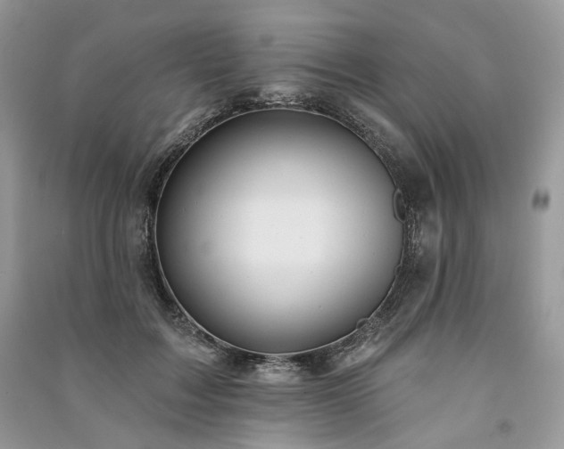 X0000091090603200708131321