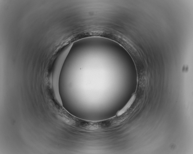 X0000091090604200708131321