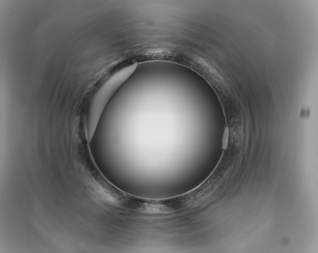 X0000091090605200708131321