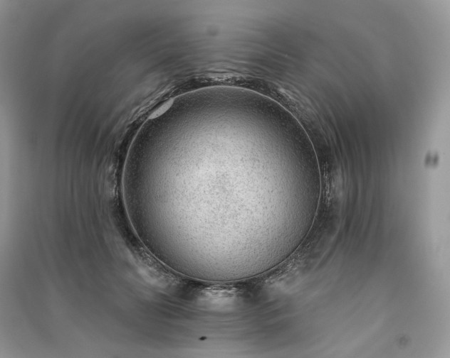 X0000091090606200708131321