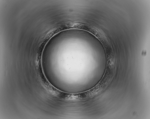 X0000091090607200708131321