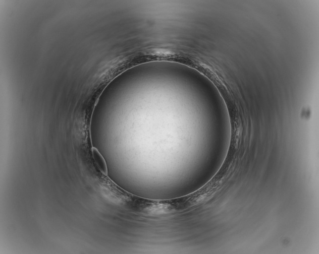 X0000091090609200708131321