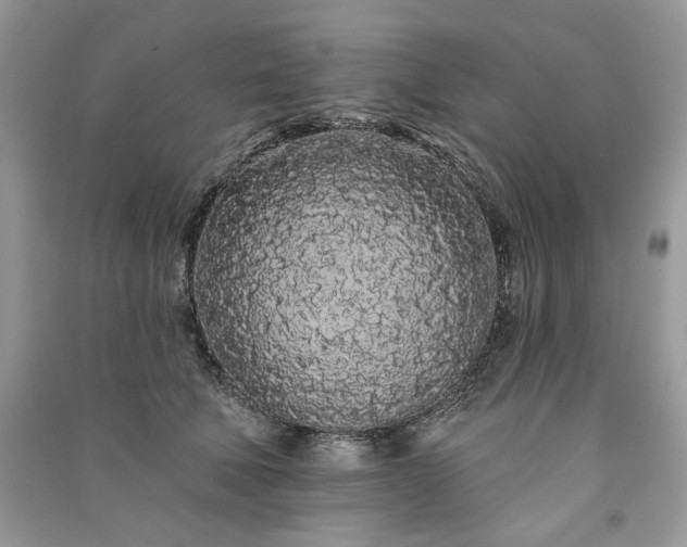 X0000091090610200708131321