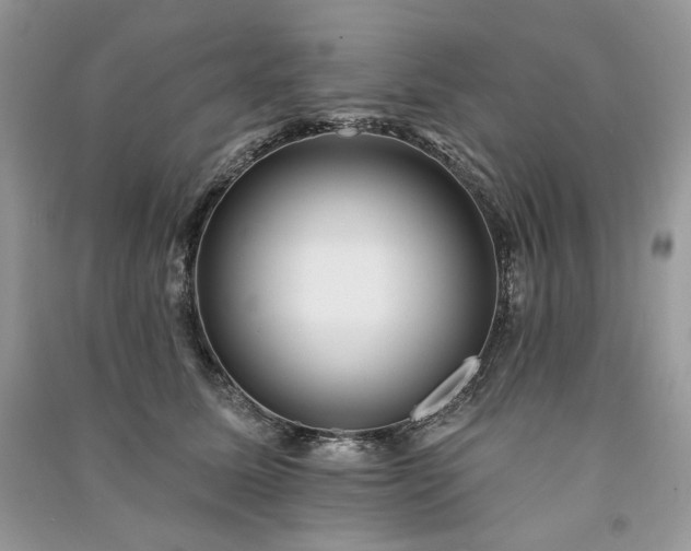 X0000091090611200708131321