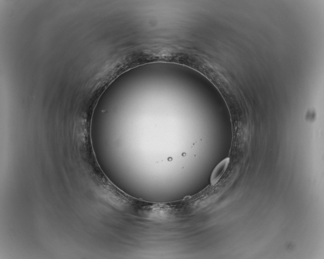 X0000091090612200708131321