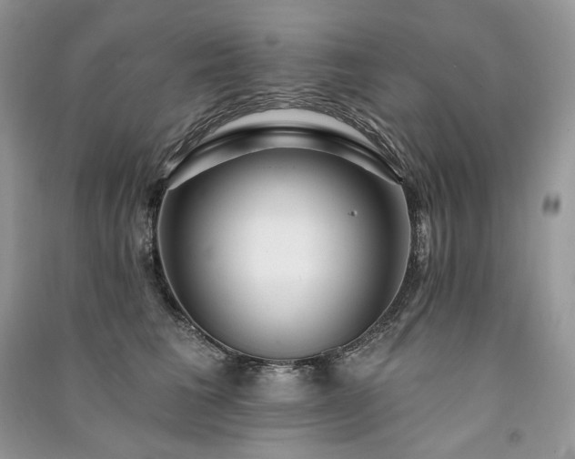 X0000091090613200708131321