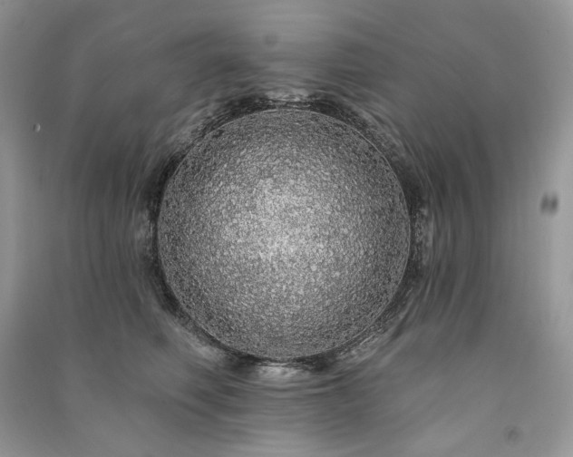 X0000091090614200708131321