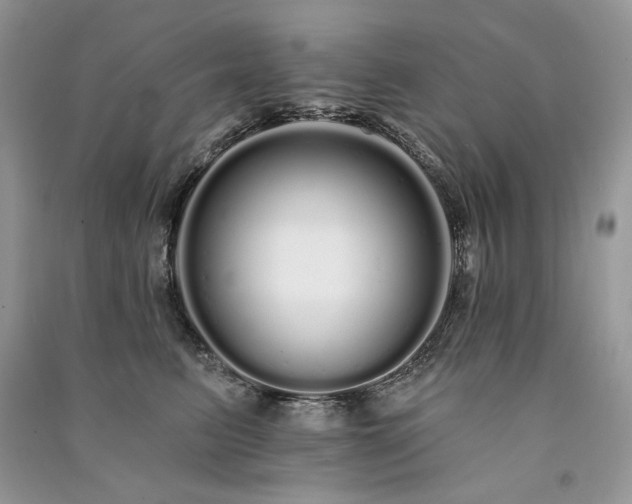 X0000091090615200708131321