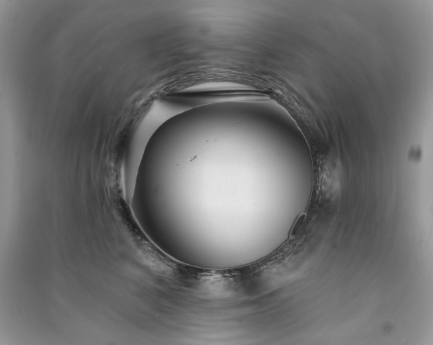 X0000091090616200708131321