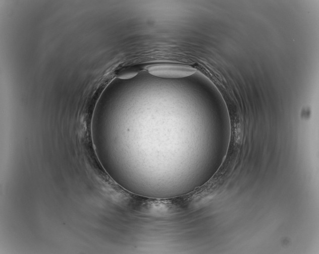 X0000091090618200708131321