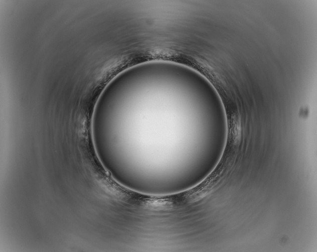 X0000091090619200708131321