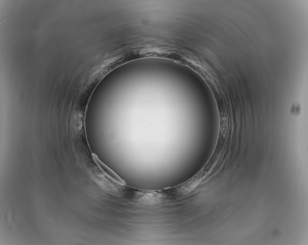 X0000091090621200708131321