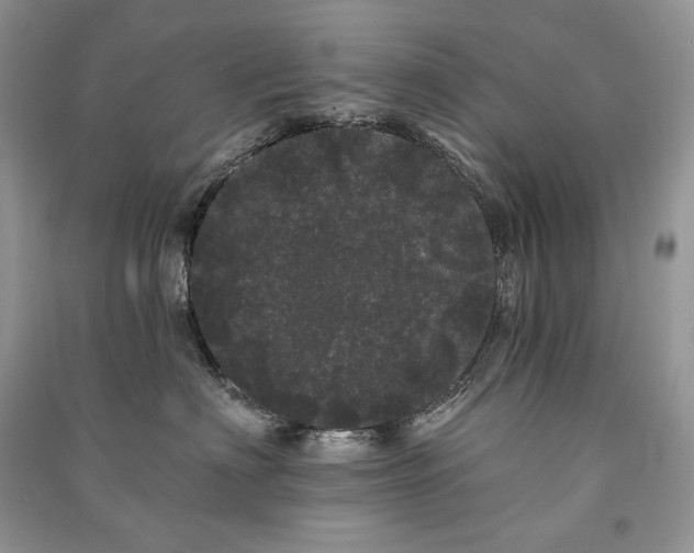 X0000091090622200708131321