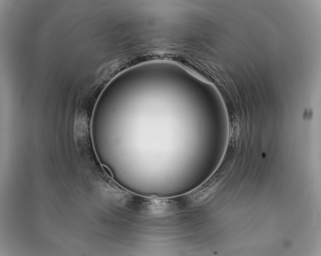 X0000091090623200708131321