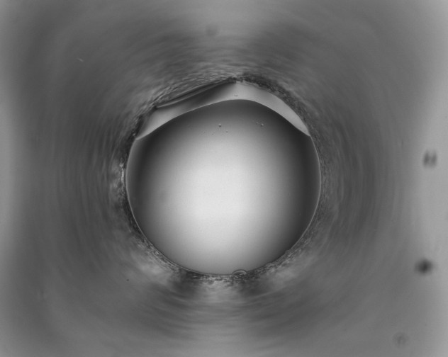 X0000091090624200708131321