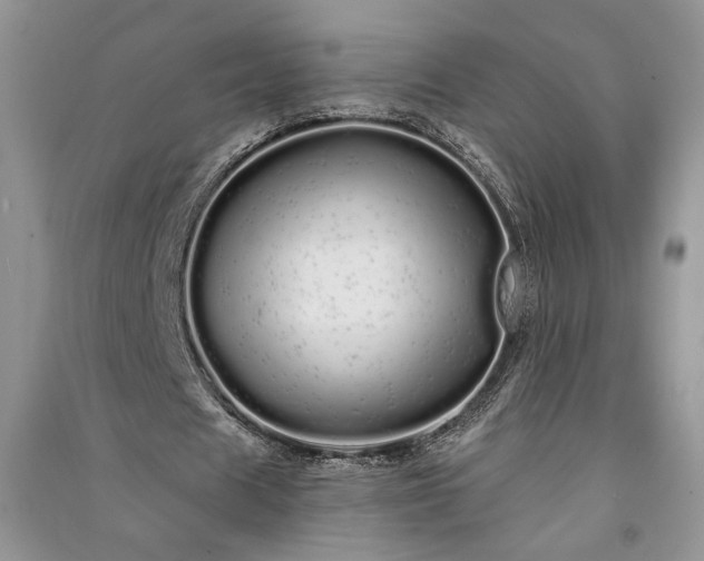 X0000091090625200708131320