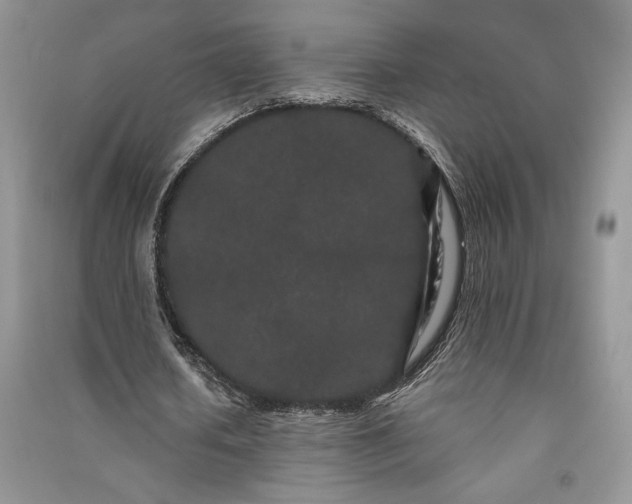 X0000091090626200708131320