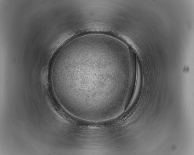 X0000091090627200708131320
