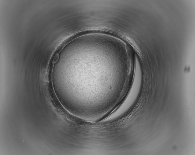 X0000091090628200708131320