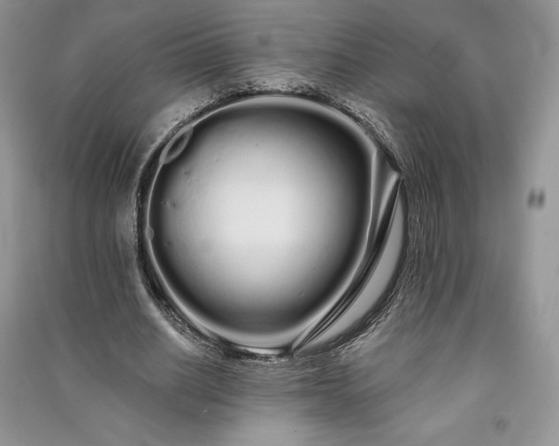 X0000091090630200708131320