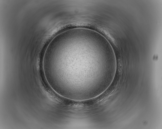 X0000091090631200708131320
