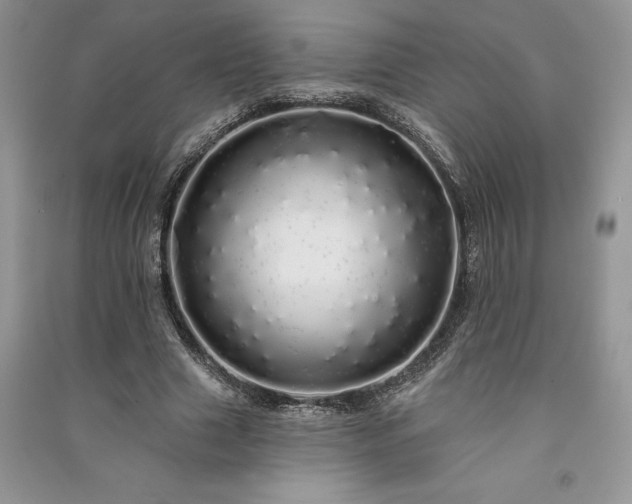 X0000091090633200708131320