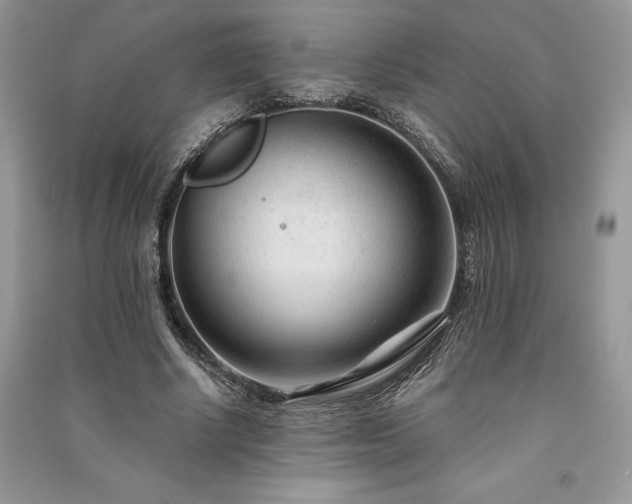 X0000091090634200708131320
