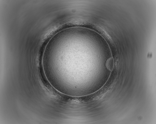 X0000091090635200708131320