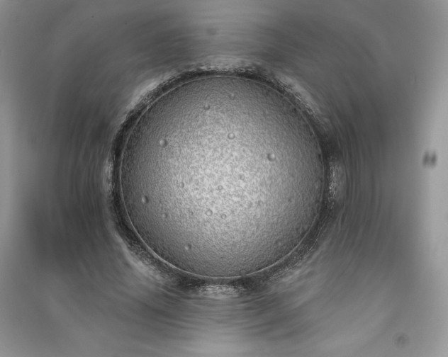 X0000091090636200708131320