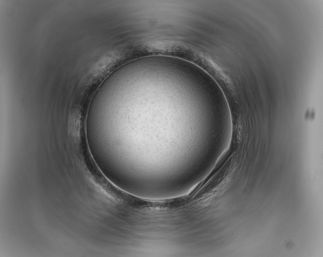 X0000091090637200708131320