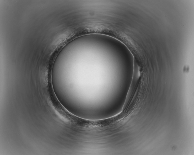 X0000091090638200708131320