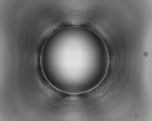 X0000091090639200708131320