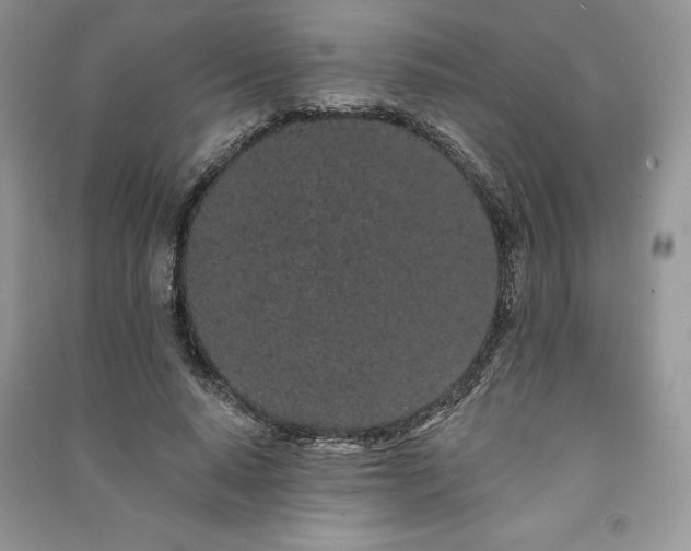 X0000091090640200708131320