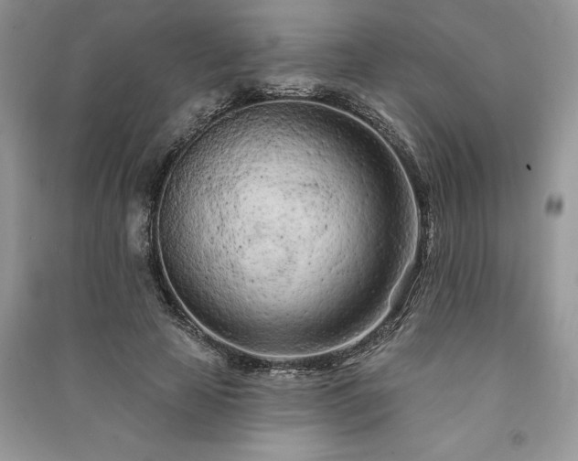X0000091090641200708131320
