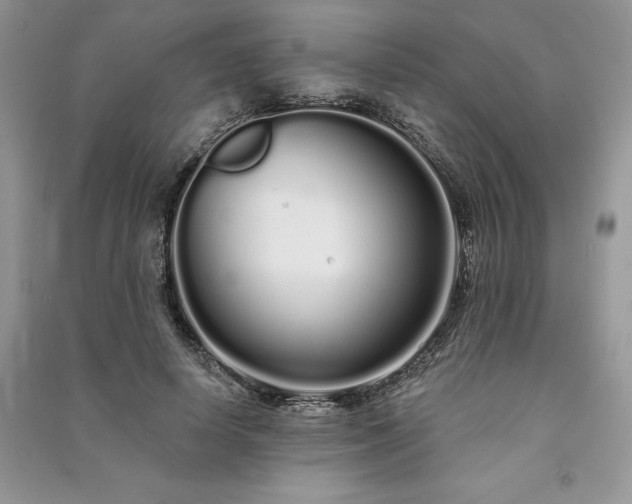 X0000091090642200708131320