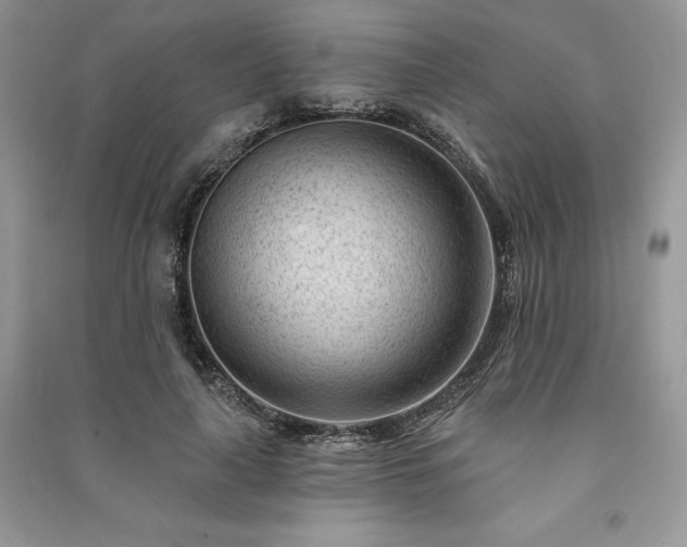 X0000091090643200708131320