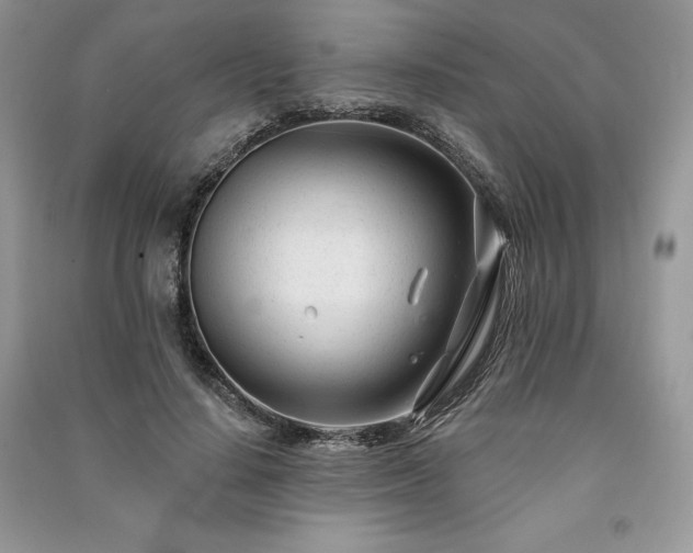 X0000091090644200708131320