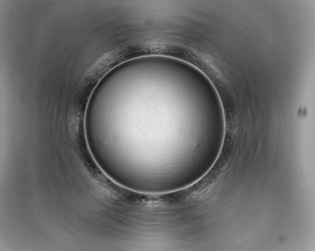 X0000091090645200708131320