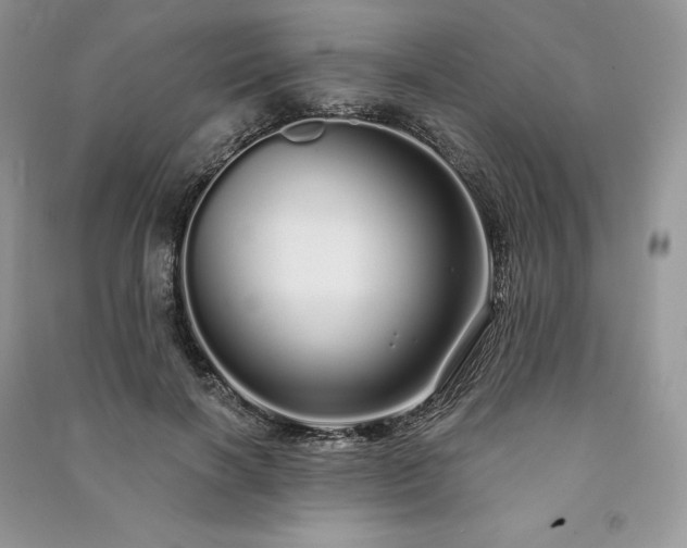 X0000091090646200708131320