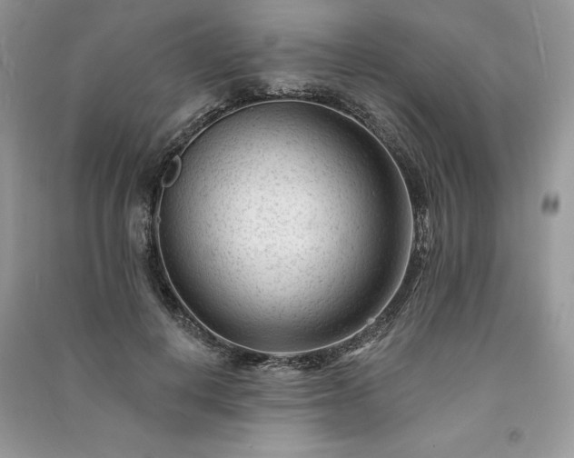 X0000091090648200708131320