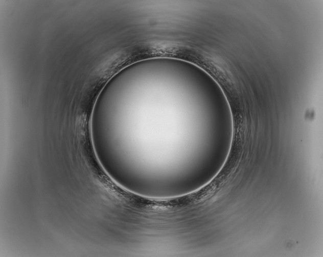 X0000091090649200708131320