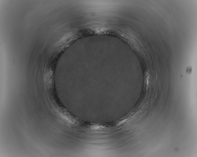 X0000091090650200708131320