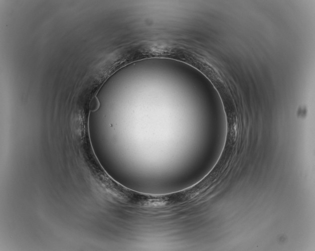 X0000091090651200708131320