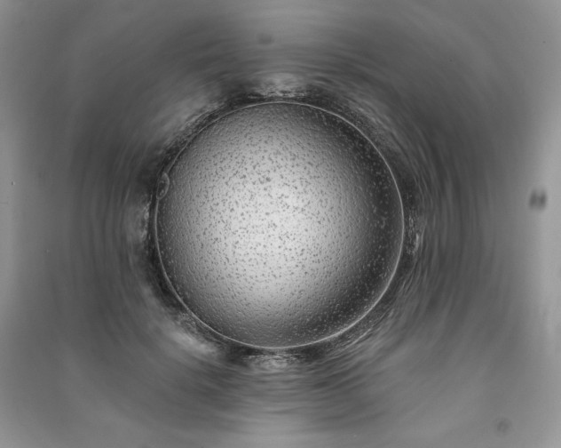 X0000091090652200708131320