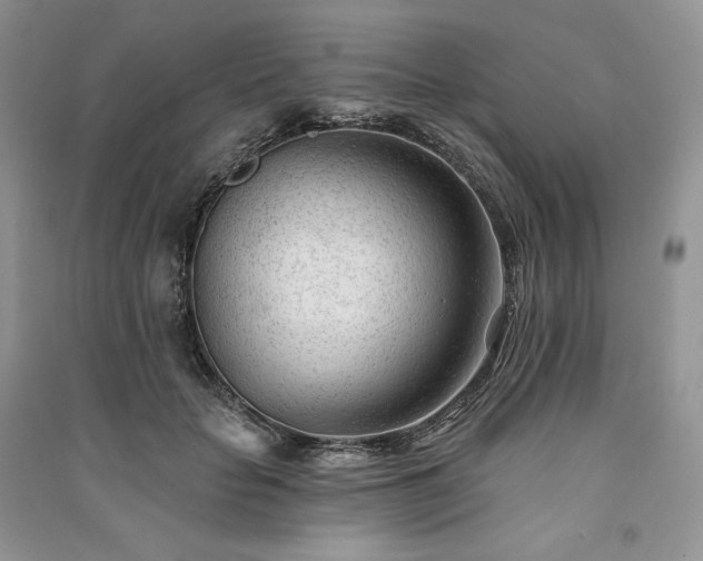 X0000091090653200708131320