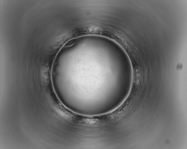 X0000091090654200708131320