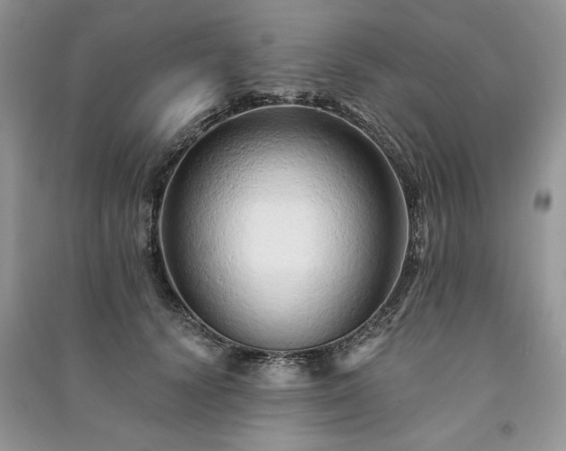 X0000091090656200708131320