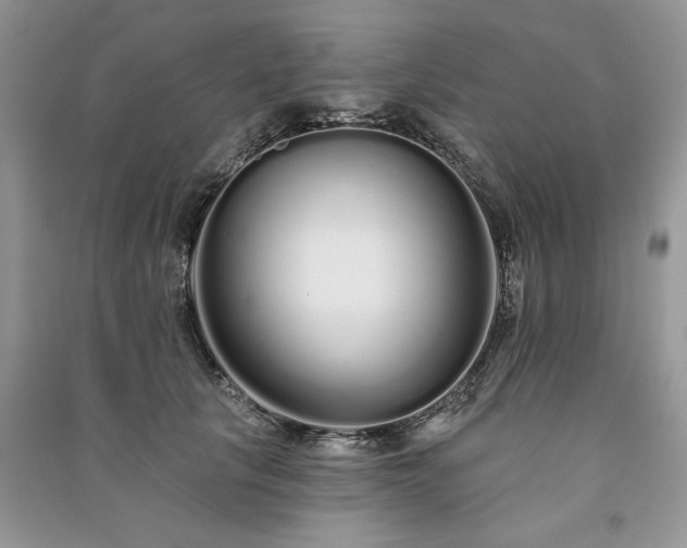 X0000091090657200708131320