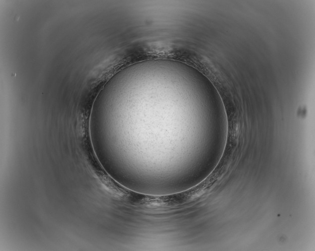 X0000091090658200708131320